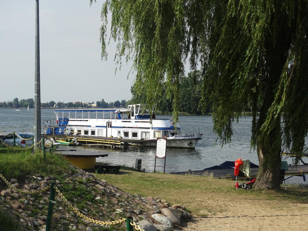 Hotel Wityng Ślesin 外观 照片